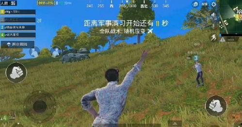 娱乐大瓜在线吃鸡游戏,在线吃鸡游戏，畅享欢乐竞技盛宴